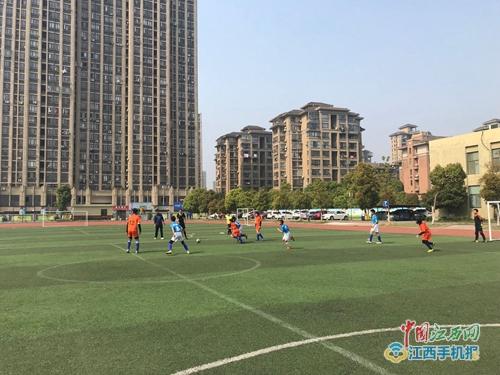 鹤湖学校足球赛直播点燃激情，共享精彩瞬间