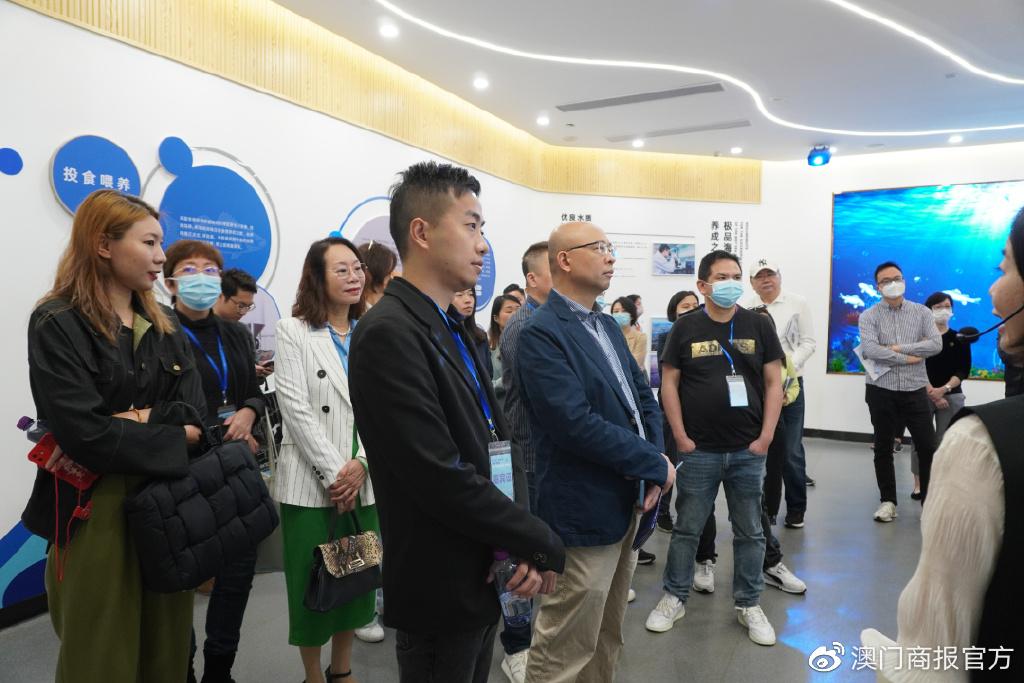顺德青年足球联赛官网直播，热血青春，尽在掌握