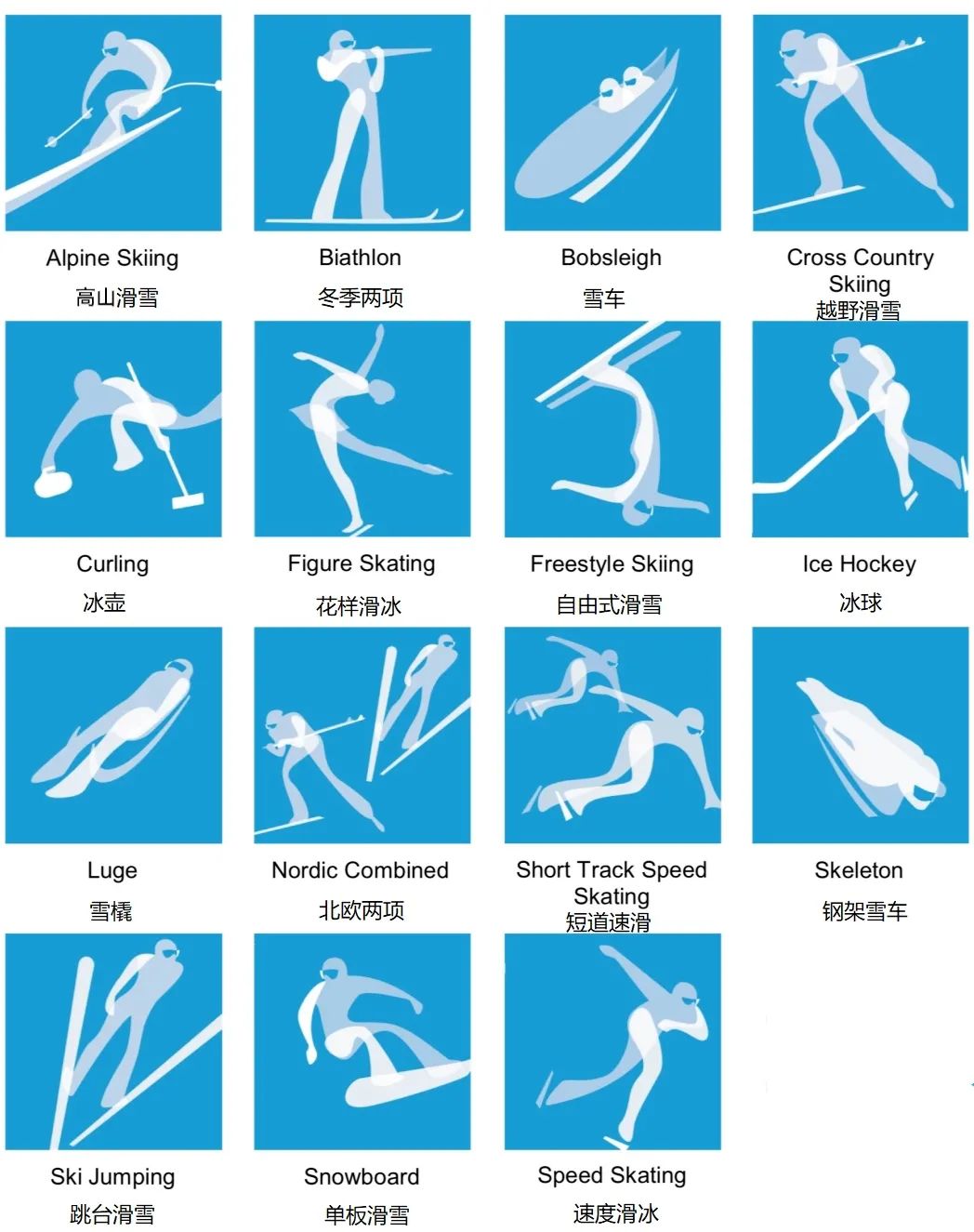 冬奥会体育名称的魅力与影响