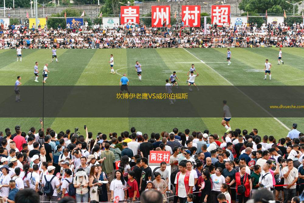 蔡家岗足球比赛视频直播，激情与技术的完美结合