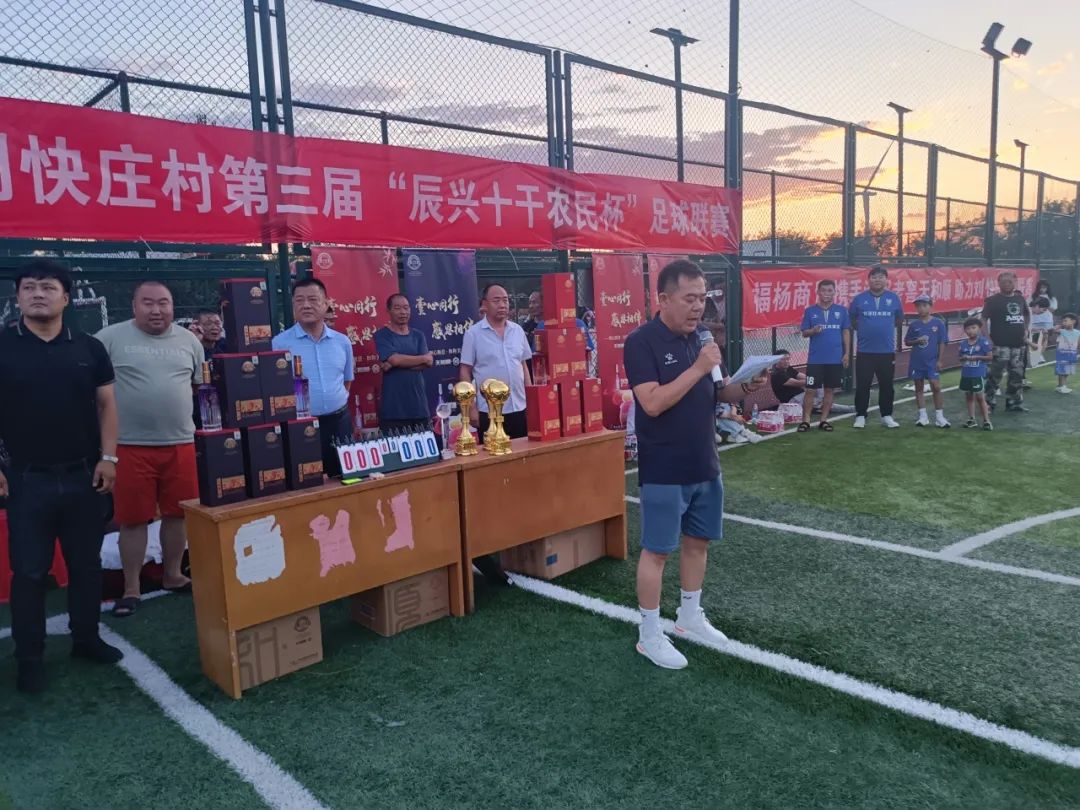 临西乡村足球赛直播回放，激情与梦想的碰撞之夜
